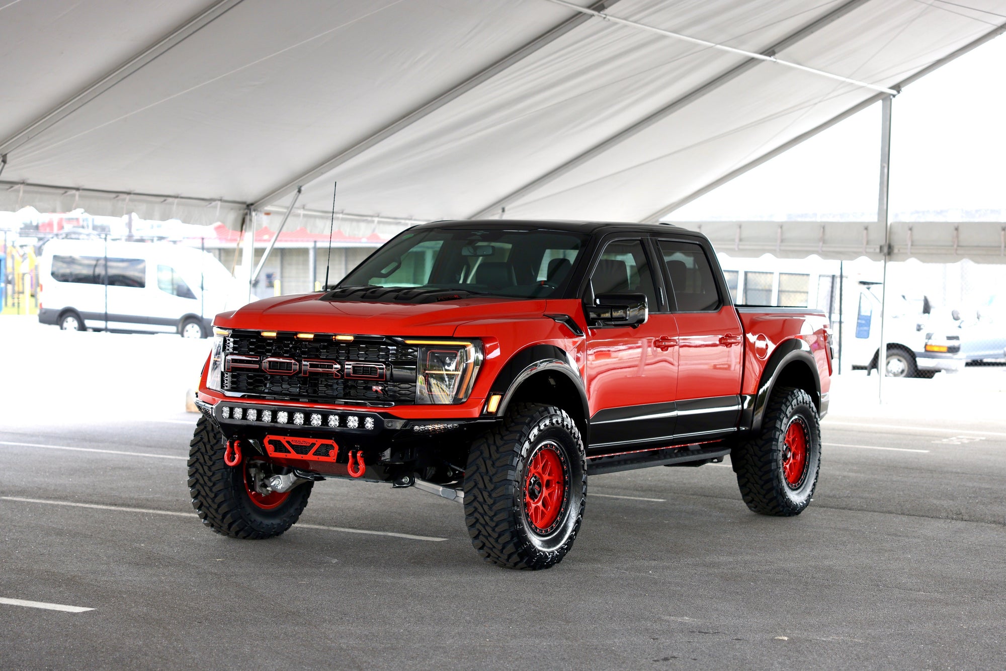 Raptor R Indo Edition Wild Willies