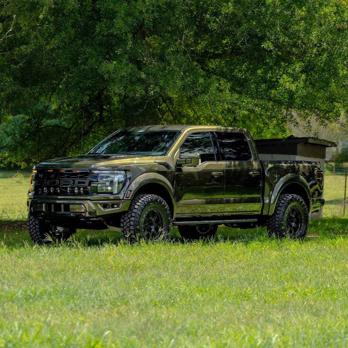 Leveled Raptor 2025 Custom Wild Willies Shelter Green Raptor | RPG Leveling Kit