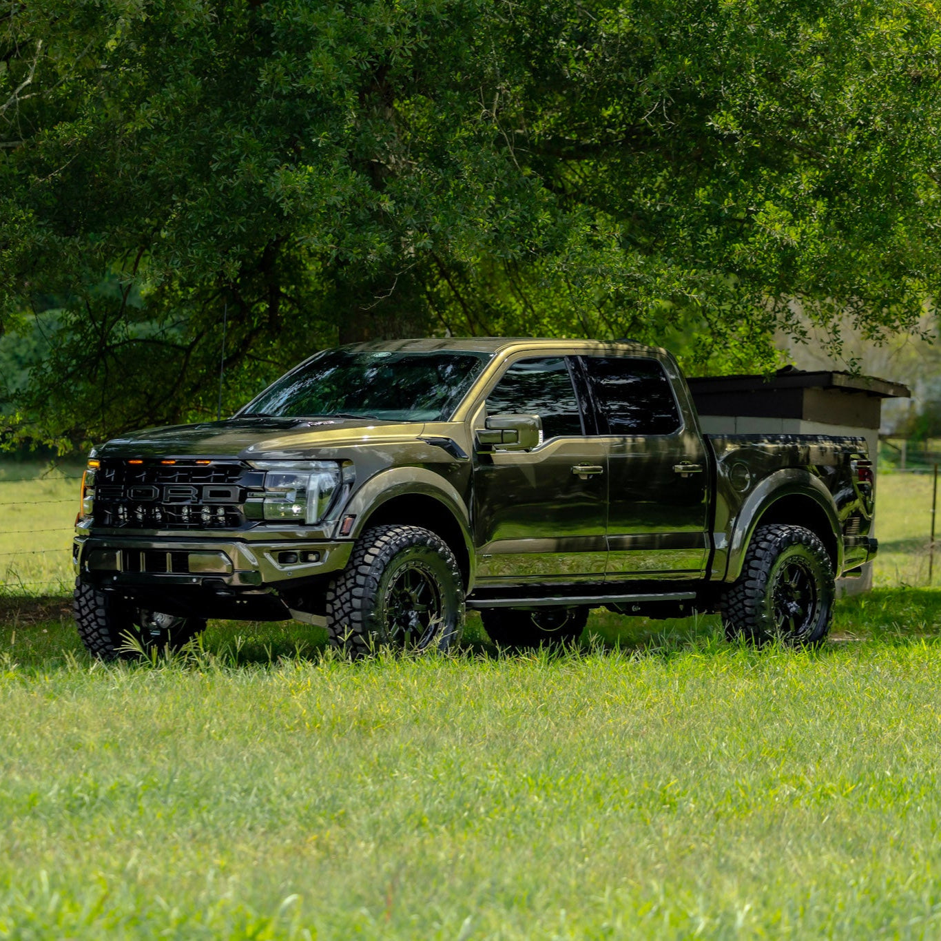 shelter green raptor